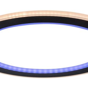 Plafon GOLWEN z pilotem okrągły czarny LED 1x22W 45cm 1550lm IP20 Rabalux 871135 Plafon GOLWEN z pilotem okrągły czarny LED 1x22W 45cm 1550lm IP20 Rabalux 871135