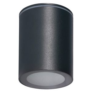 Plafon łazienkowy Aqilo aluminiowy szary 51542