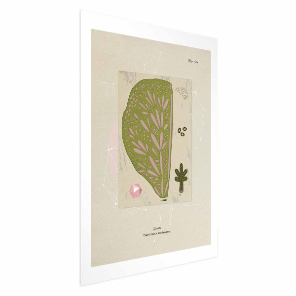 Plakat Abstrakcyjne drzewo 40x60 cm 580635