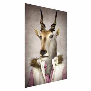 Plakat Antylopa 40×60 cm 579455 Plakat Antylopa 40×60 cm 579455
