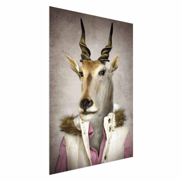Plakat Antylopa 60x90 cm 589548