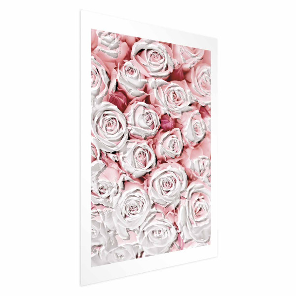 Plakat Białe róże 21x30 cm 587387