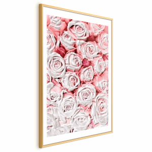 Plakat Białe róże 21×30 cm 588667