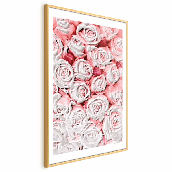 Plakat Białe róże 21x30 cm 588667
