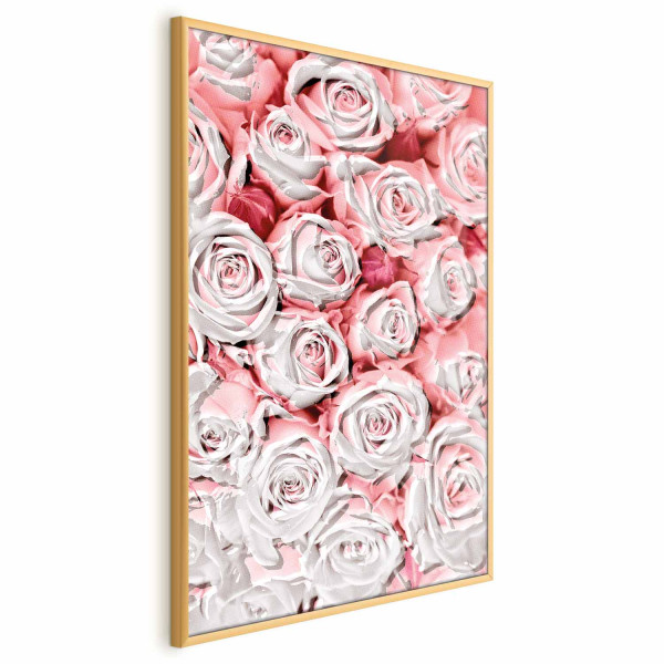 Plakat Białe róże 21x30 cm 579250