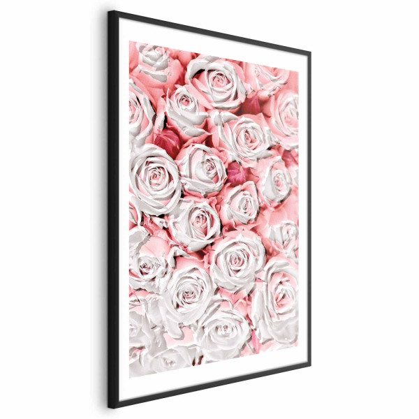 Plakat Białe róże 40x60 cm 582645