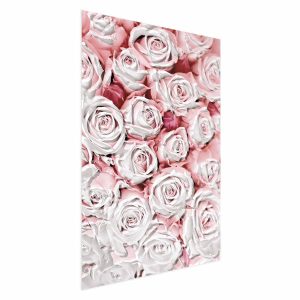 Plakat Białe róże 40×60 cm 577587