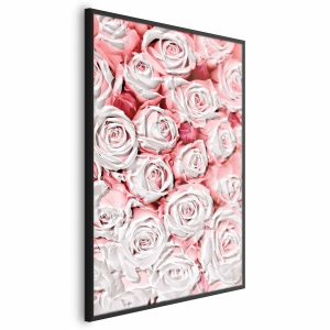 Plakat Białe róże 60×90 cm 582654