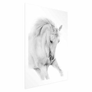 Plakat Biały koń 21×30 cm 589067