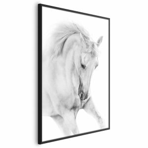 Plakat Biały koń 21×30 cm 589186