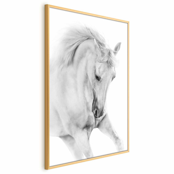 Plakat Biały koń 29,7x42 cm 590102