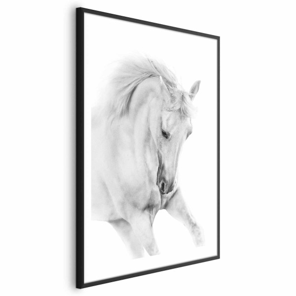 Plakat Biały koń 29,7x42 cm 582974