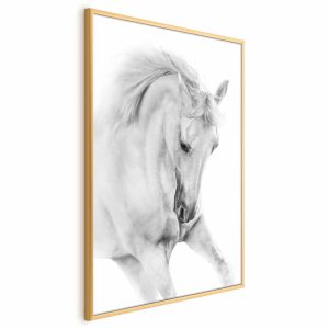 Plakat Biały koń 40×60 cm 577961 Plakat Biały koń 40×60 cm 577961