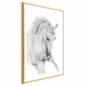 Plakat Biały koń 40×60 cm 589099 Plakat Biały koń 40×60 cm 589099