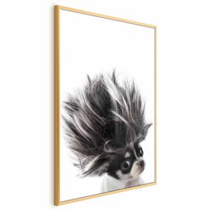 Plakat Chihuahua 29,7×42 cm 591241