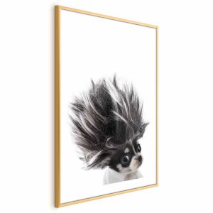 Plakat Chihuahua 60×90 cm 591416 Plakat Chihuahua 60×90 cm 591416