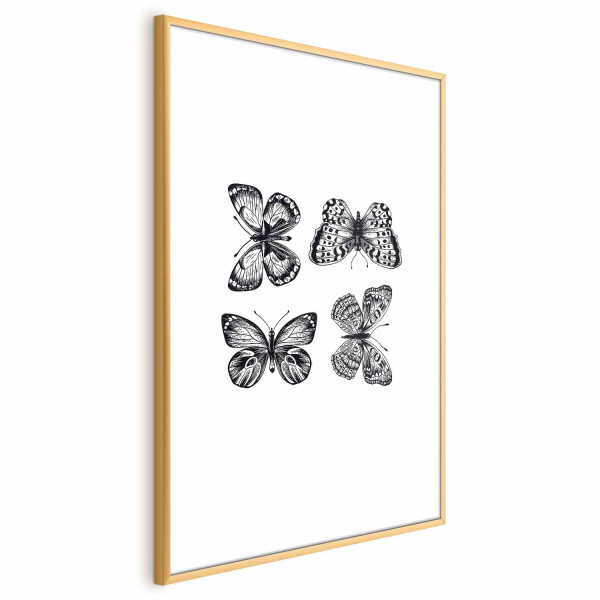 Plakat Cztery motyle 21x30 cm 583755