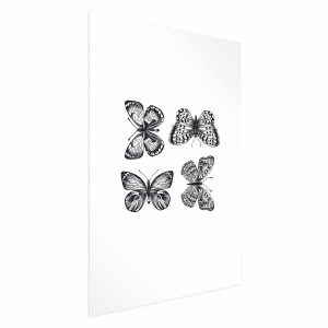 Plakat Cztery motyle 21×30 cm 581109 Plakat Cztery motyle 21×30 cm 581109