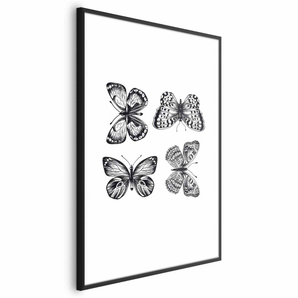 Plakat Cztery motyle 40x60 cm 579551