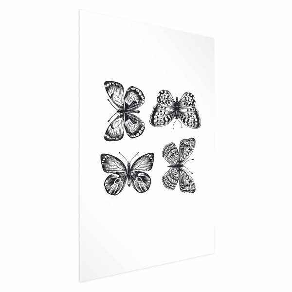 Plakat Cztery motyle 40x60 cm 580390