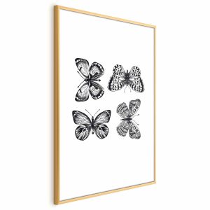 Plakat Cztery motyle 40×60 cm 586094 Plakat Cztery motyle 40×60 cm 586094