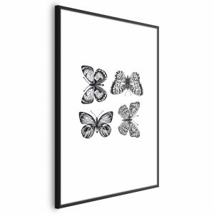 Plakat Cztery motyle 60×90 cm 583291 Plakat Cztery motyle 60×90 cm 583291