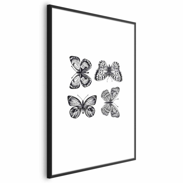 Plakat Cztery motyle 60x90 cm 583291