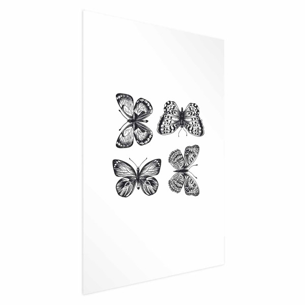 Plakat Cztery motyle 60x90 cm 585477
