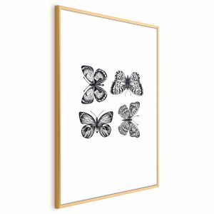 Plakat Cztery motyle 60×90 cm 586627 Plakat Cztery motyle 60×90 cm 586627