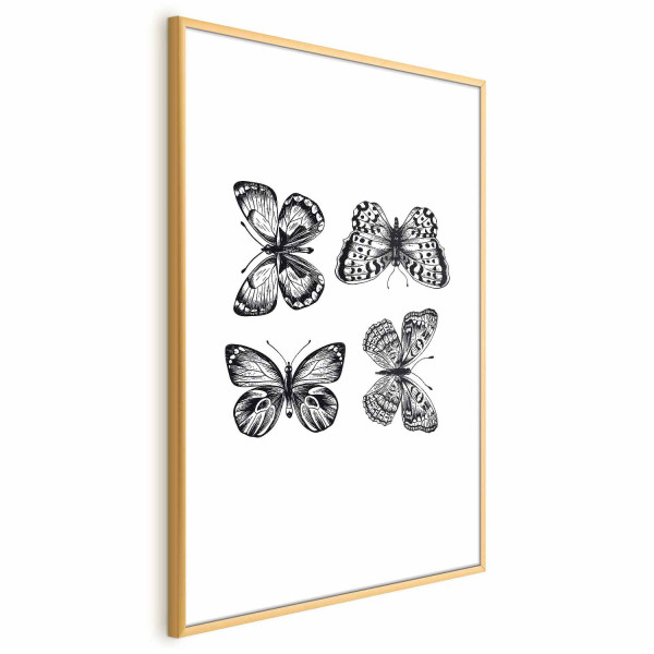 Plakat Cztery motyle 60x90 cm 579178