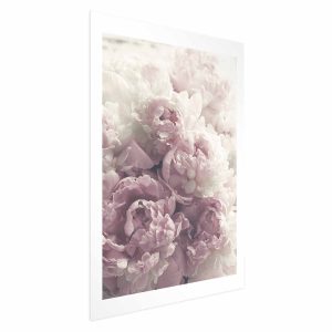 Plakat Delikatne piwonie 21×30 cm 579619