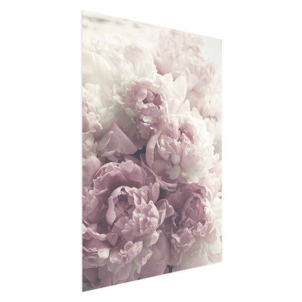Plakat Delikatne piwonie 21x30 cm 583889
