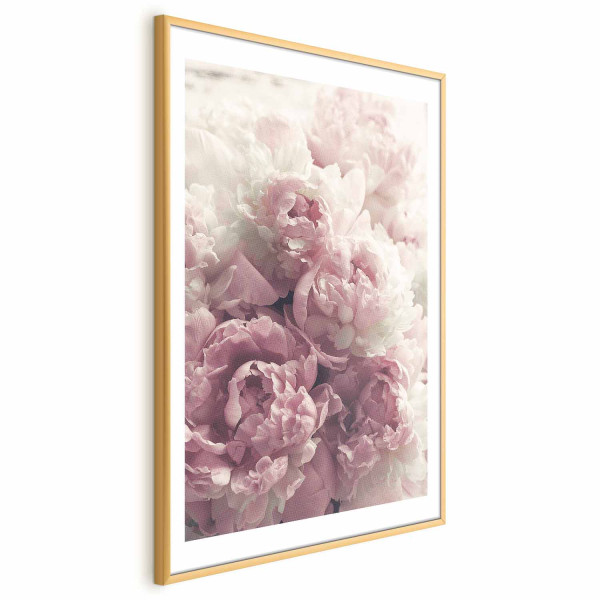Plakat Delikatne piwonie 29,7x42 cm 580571