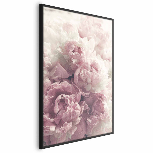 Plakat Delikatne piwonie 40x60 cm 578099