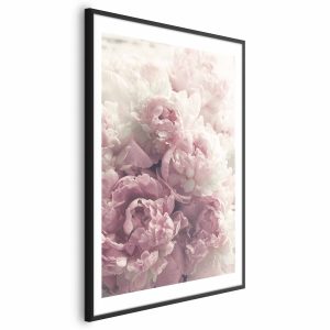 Plakat Delikatne piwonie 40×60 cm 589315 Plakat Delikatne piwonie 40×60 cm 589315