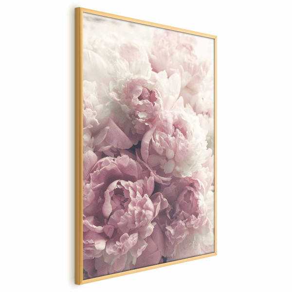 Plakat Delikatne piwonie 40x60 cm 578014