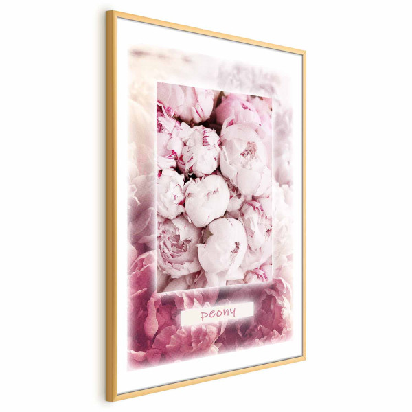 Plakat Delikatność wiosny 60x90 cm 582511