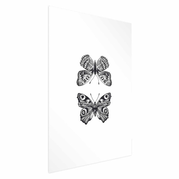 Plakat Dwa motyle 21x30 cm 590362