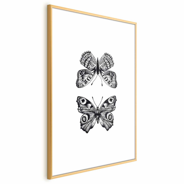 Plakat Dwa motyle 29,7x42 cm 580885
