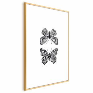 Plakat Dwa motyle 29,7×42 cm 584532 Plakat Dwa motyle 29,7×42 cm 584532