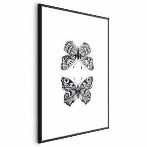 Plakat Dwa motyle 29,7×42 cm 588997 Plakat Dwa motyle 29,7×42 cm 588997