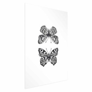 Plakat Dwa motyle 29,7×42 cm 579497 Plakat Dwa motyle 29,7×42 cm 579497