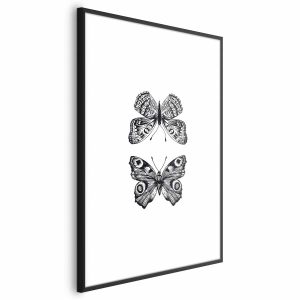 Plakat Dwa motyle 29,7×42 cm 590565 Plakat Dwa motyle 29,7×42 cm 590565