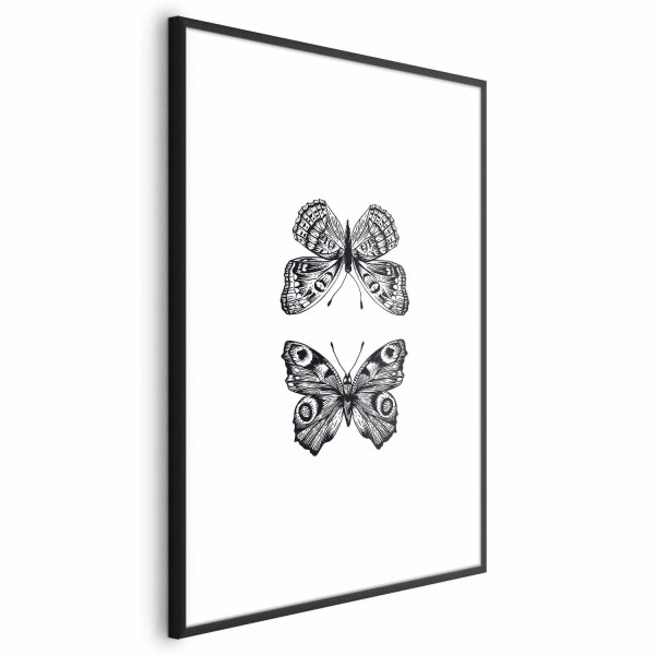 Plakat Dwa motyle 29,7x42 cm 590565