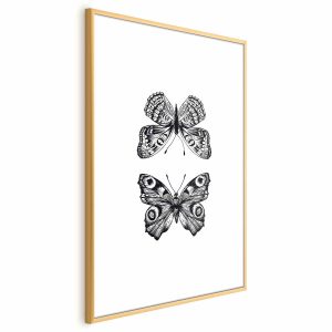Plakat Dwa motyle 40×60 cm 591361