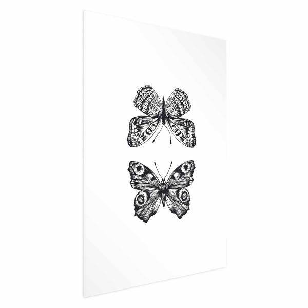Plakat Dwa motyle 60x90 cm 586468