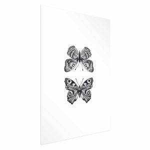Plakat Dwa motyle 60×90 cm 589824