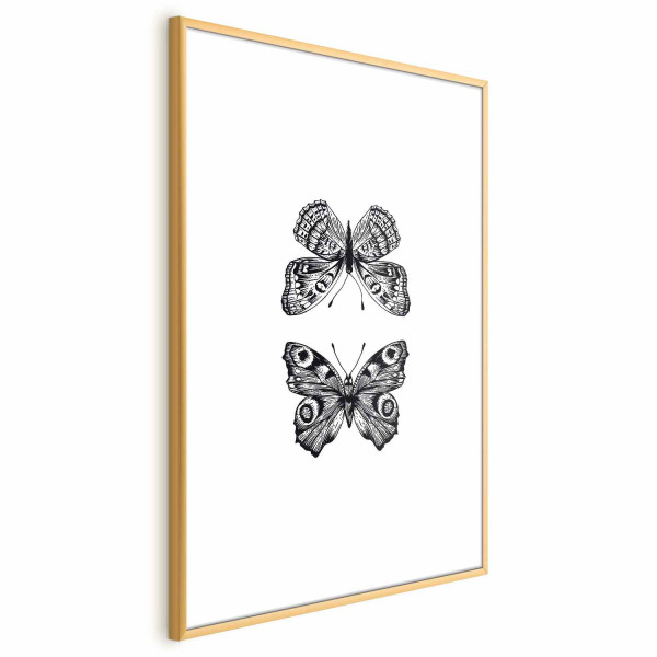 Plakat Dwa motyle 60x90 cm 590728