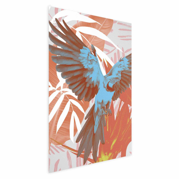 Plakat Egzotyczne skrzydła 21x30 cm 580232