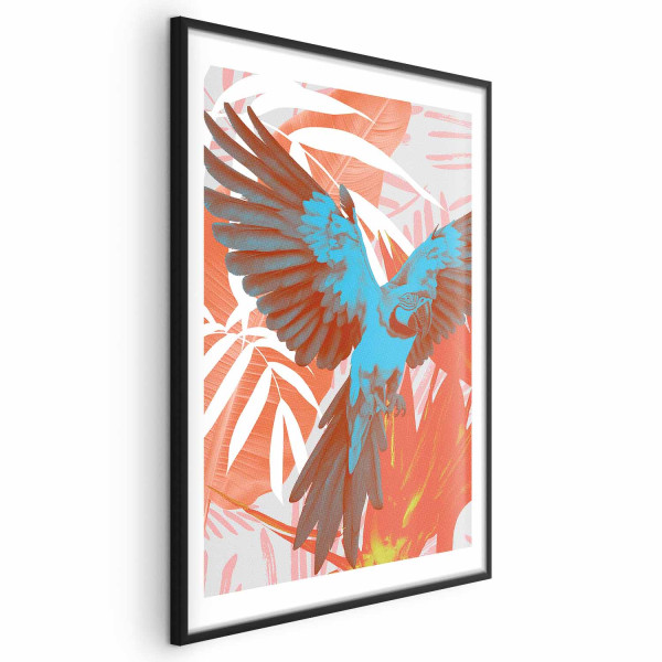 Plakat Egzotyczne skrzydła 29,7x42 cm 587578